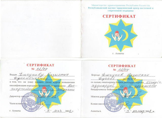 diploms13